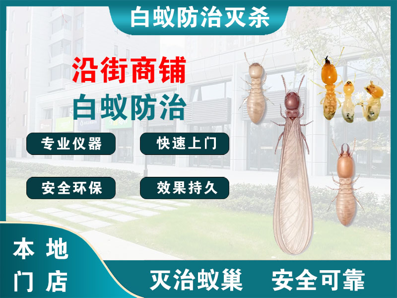 睢宁沿街商铺白蚁防治