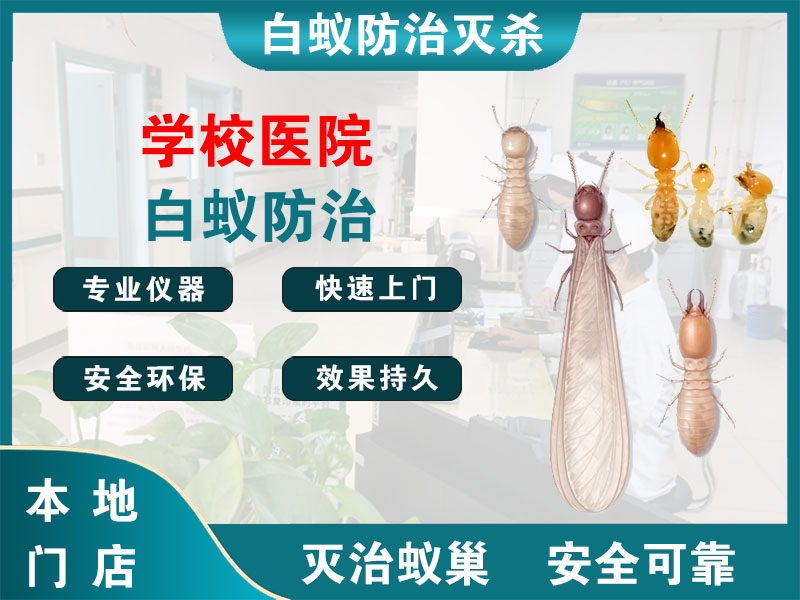 睢宁学校医院白蚁防治