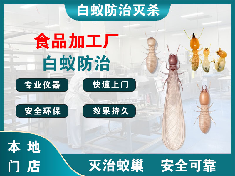 睢宁食品加工厂白蚁防治