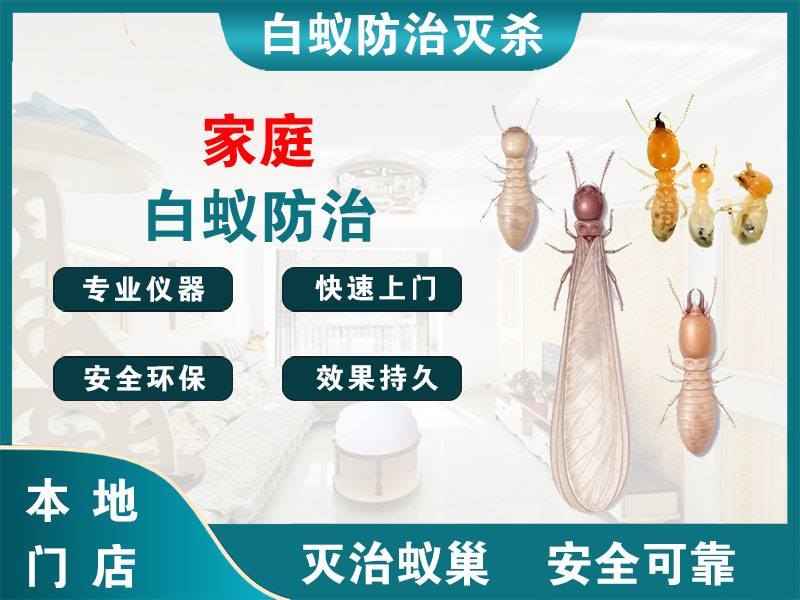 睢宁家庭白蚁防治