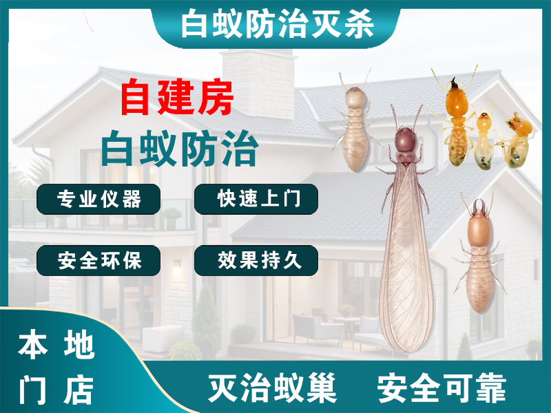 睢宁自建房白蚁防治