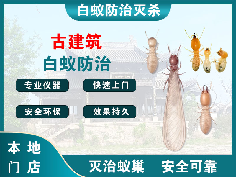 睢宁古建筑白蚁防治