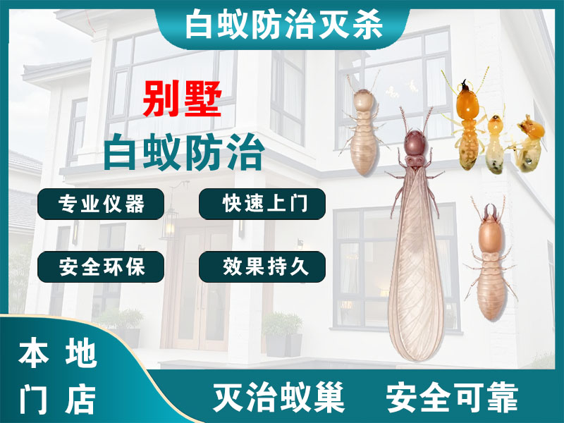 睢宁别墅白蚁防治
