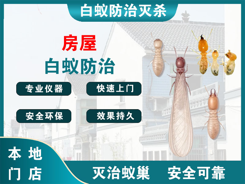 睢宁房屋白蚁防治